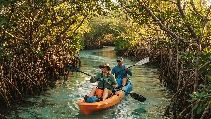 Clearwater Beach Kayak Rentals & Tours: The Complete Guide