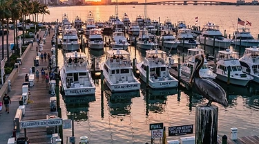 Fall Fishing in Clearwater Beach: Kingfish Season, Charters & What to Know (2026)