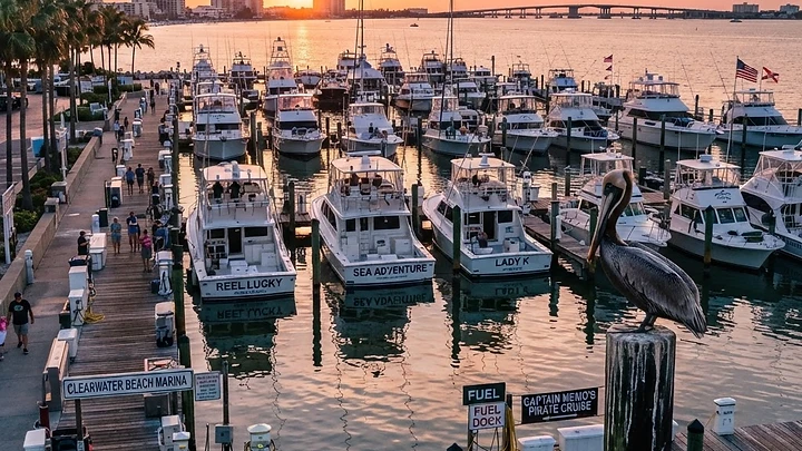 Fall Fishing in Clearwater Beach: Kingfish Season, Charters & What to Know (2026)