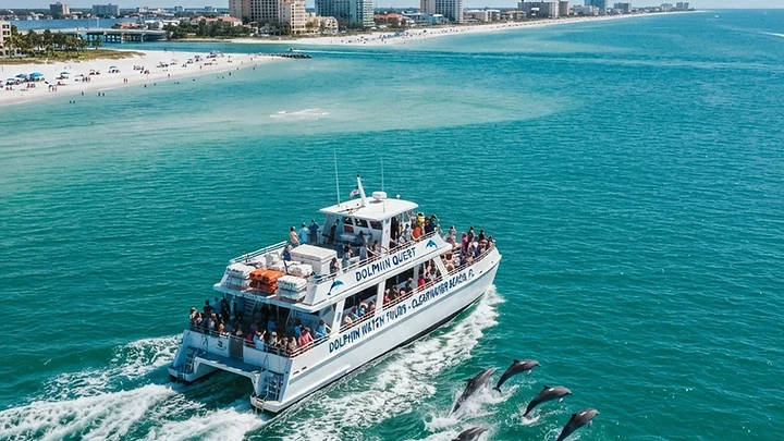 Clearwater Beach Boat Tours & Dolphin Cruises: The Complete Guide