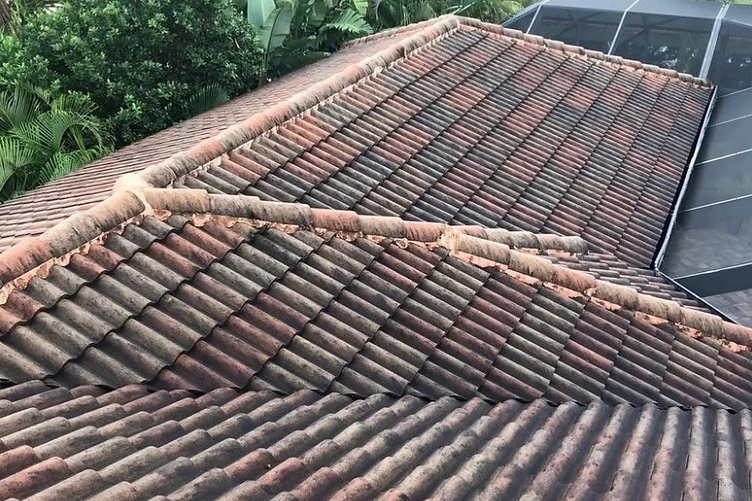 Roof soft washing before and after — dirty tile roof cleaned — before