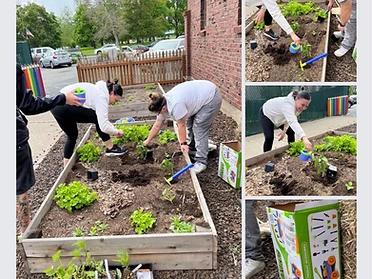 Planting our garden