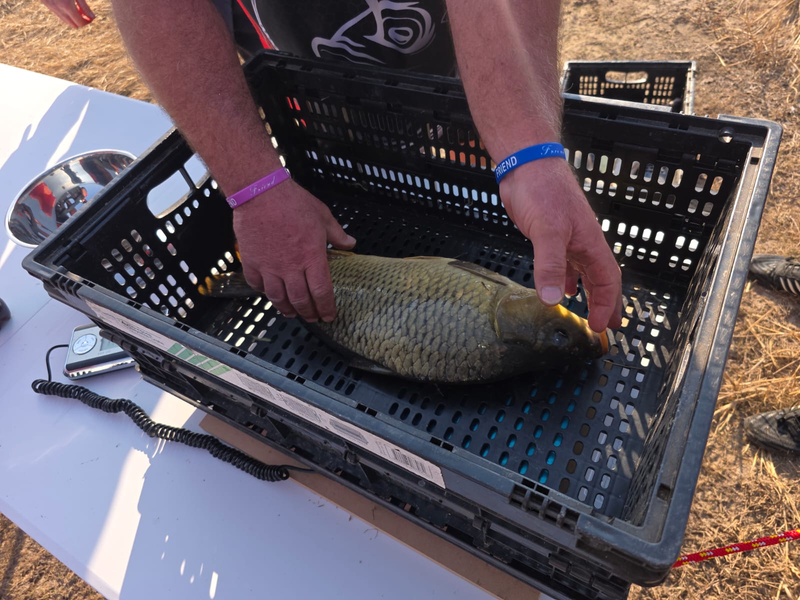Benoni Angling Club scene