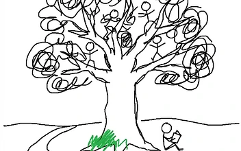 Davis Forest School: Why Everyone Is Suddenly Searching for This Small California Forest School
