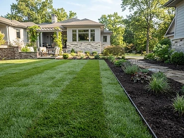 Turf & Lawns