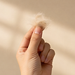 Get a Small Fur Sample