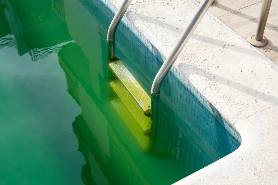 Green Pool Treatment