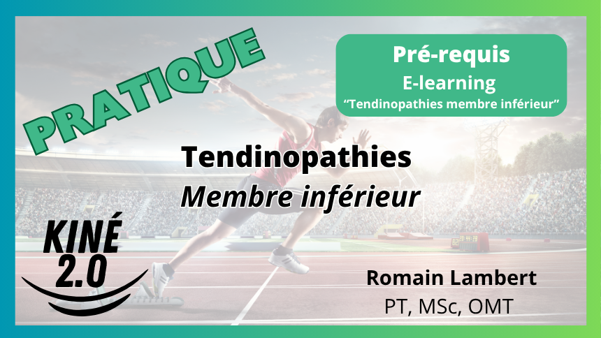 Tendinopathies du membre inférieur — programme de la formation présentielle animée par Romain Lambert PT, MSc, OMT