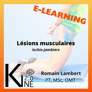 Lésions musculaires: Ischio-Jambiers — formation e-learning pour kinésithérapeutes par Romain Lambert PT, MSc, OMT