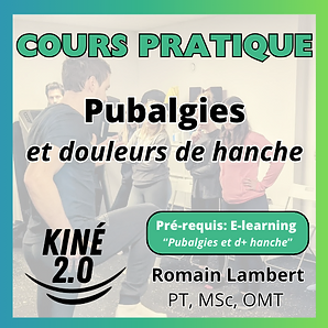 Pubalgies et douleurs de hanche — formation présentielle pour kinésithérapeutes par Romain Lambert PT, MSc, OMT
