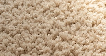Carpet Installation service