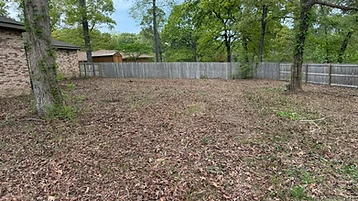 Property Cleanup