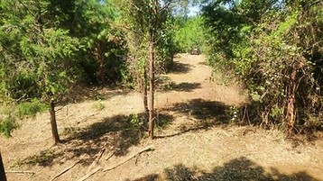 Right-of-Way Clearing