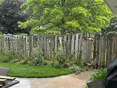 Fencing — before