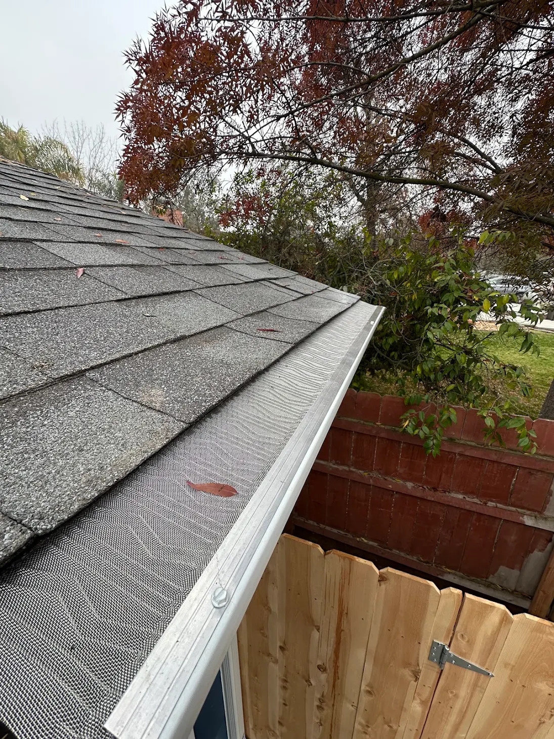 Mesh gutter guard installed along a roof edge