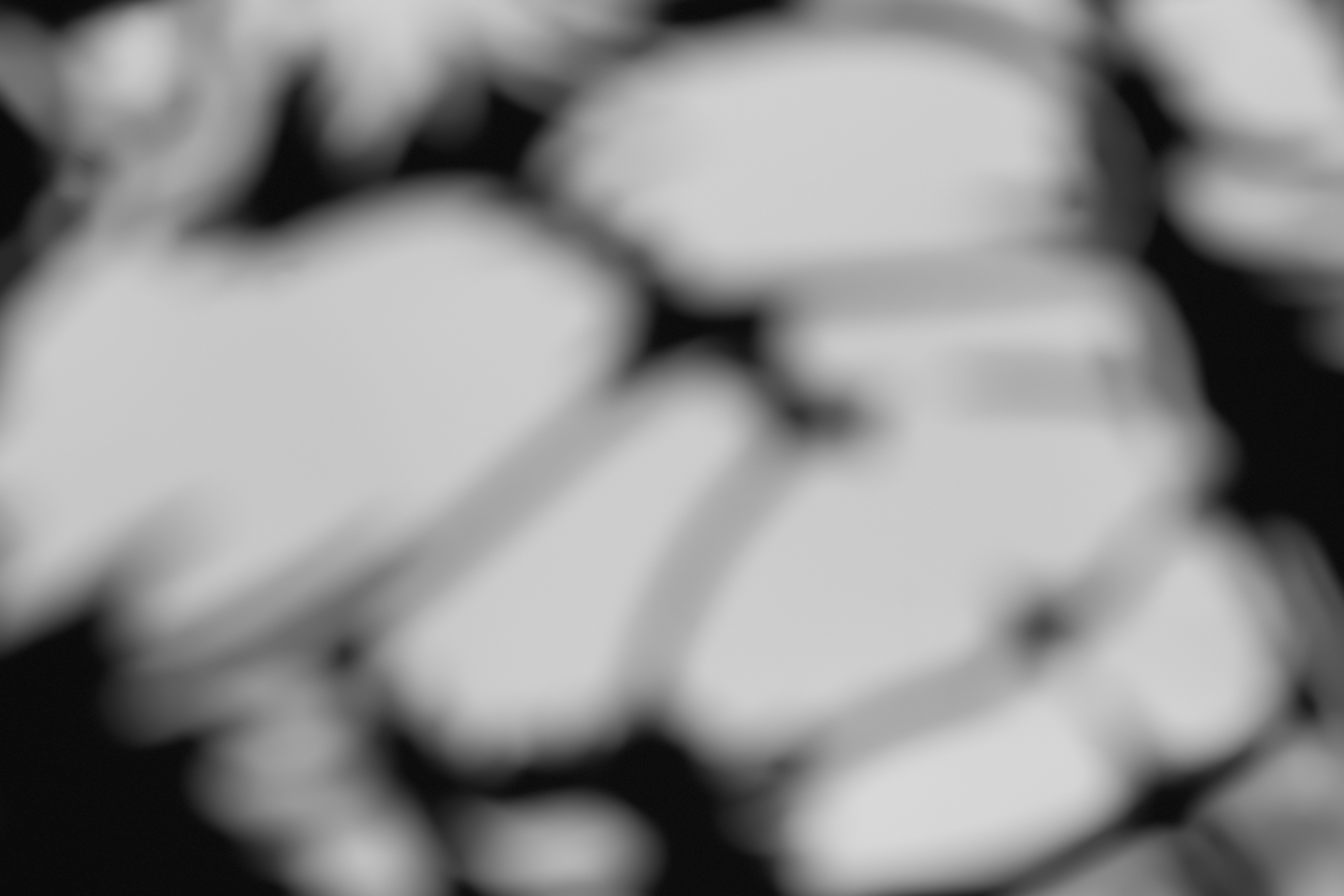 Velocity