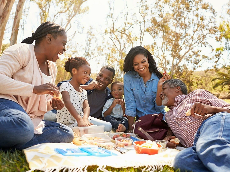 A family enjoying a picnic together, representing the families Right Step serves