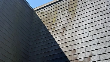 Pressure washing asphalt shingle roof cleaning Indiana