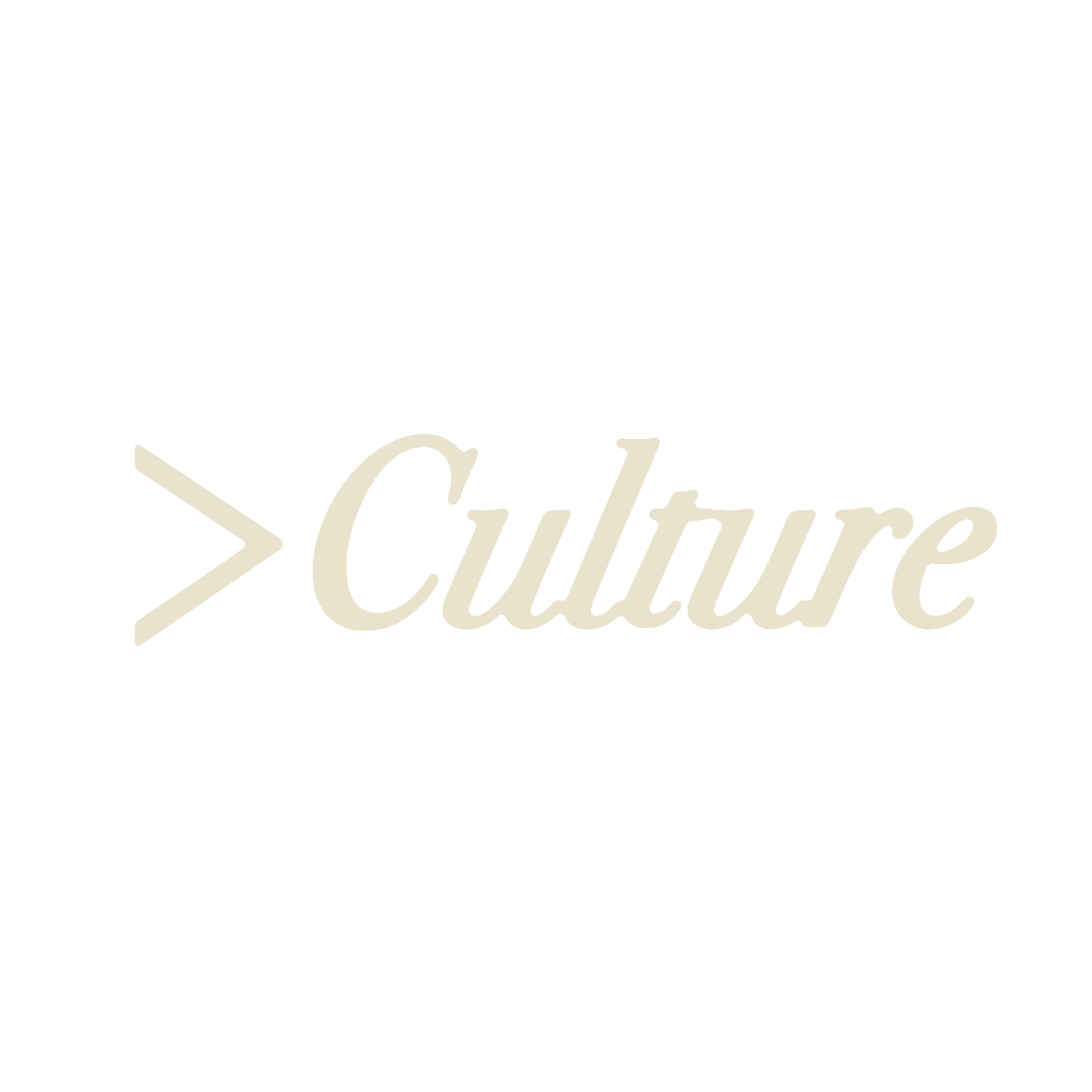 Bigger Than Culture