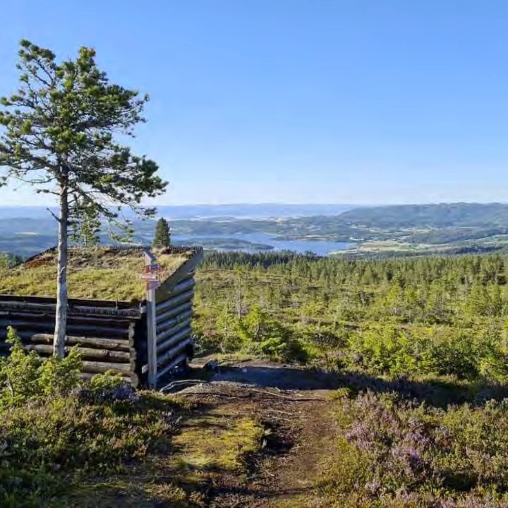 Naturopplevelser