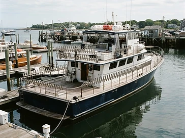 Queen Fleet Deep Sea Fishing — fishing