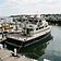 Queen Fleet Deep Sea Fishing