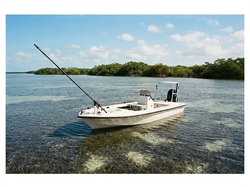 West Coast Fishing Adventures — fishing