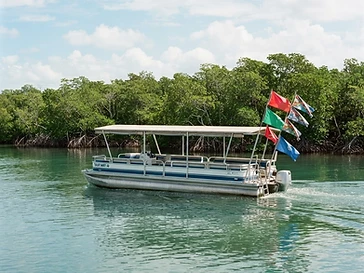ParrotDise Express Boat Tours — boat-tours