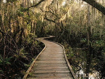 Moccasin Lake Nature Park — attractions