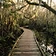 Moccasin Lake Nature Park