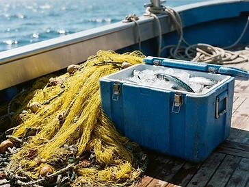 Salt Cracker Charters — fishing