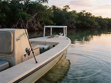 Fishful Thinkin' Charters — fishing