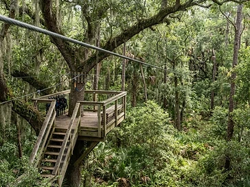 Empower Adventures Tampa Bay — attractions