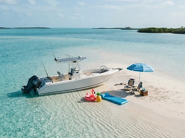 Need for Sea Boat Tours — boat-tours
