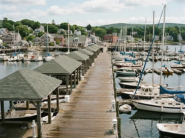 Safety Harbor Municipal Marina — fishing