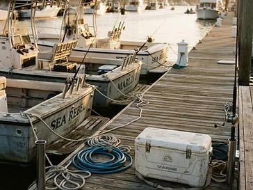Cove Cay Marina — fishing