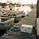 Cove Cay Marina