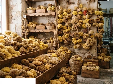 Spongeorama Sponge Factory & Cruise Lines — attractions