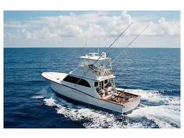 Simply Hooked Deep Sea Fishing Charters — fishing