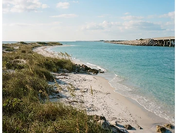 Honeymoon Island State Park — attractions