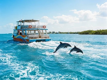 The Tropics Boat Tours — boat-tours