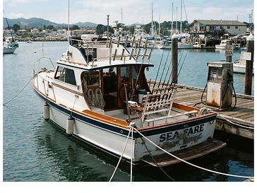 Daisy Mae Fishing Charters — fishing