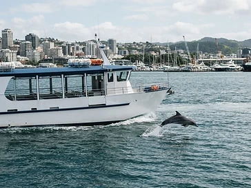 Hubbard's Marina Dolphin & Sunset Cruises — boat-tours