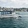 Hubbard's Marina Dolphin & Sunset Cruises