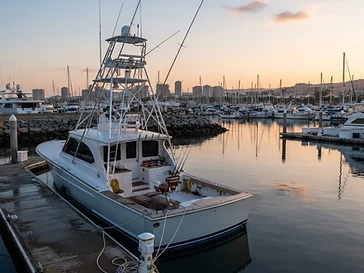 Hustler Fishing Charters — fishing