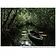 Tocobaga Tours