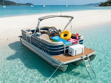 Sandbar Rehab Boat Charters — boat-tours
