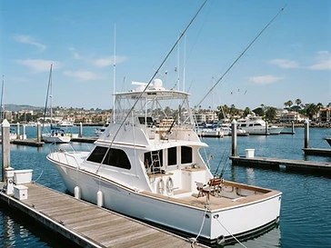 Gulfstream Fishing Charters — fishing
