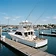Gulfstream Fishing Charters