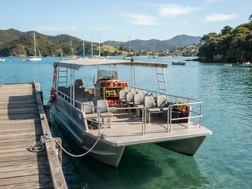 Calypso Queen — boat-tours